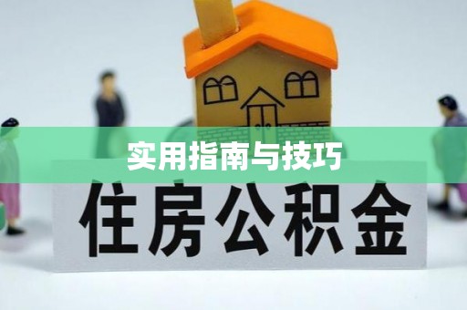 武邑实用指南与技巧