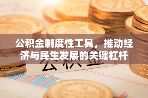 武邑公积金制度性工具，推动经济与民生发展的关键杠杆