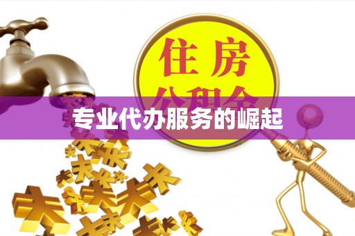 武邑专业代办服务的崛起