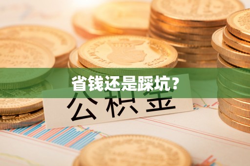 武邑省钱还是踩坑？