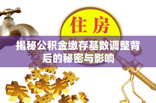 武邑揭秘公积金缴存基数调整背后的秘密与影响