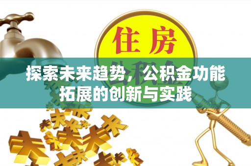 武邑探索未来趋势，公积金功能拓展的创新与实践