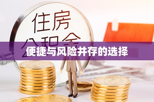 武邑便捷与风险并存的选择