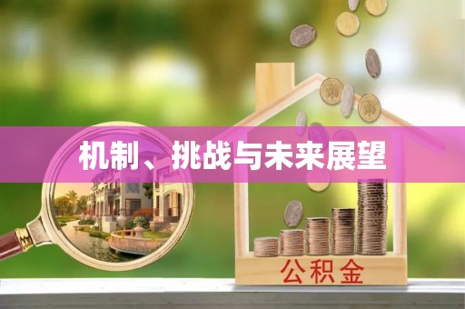 武邑机制、挑战与未来展望