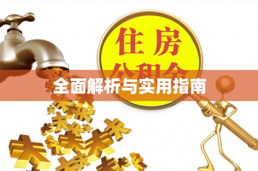 武邑全面解析与实用指南